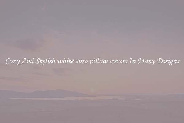 Cozy And Stylish white euro pillow covers In Many Designs