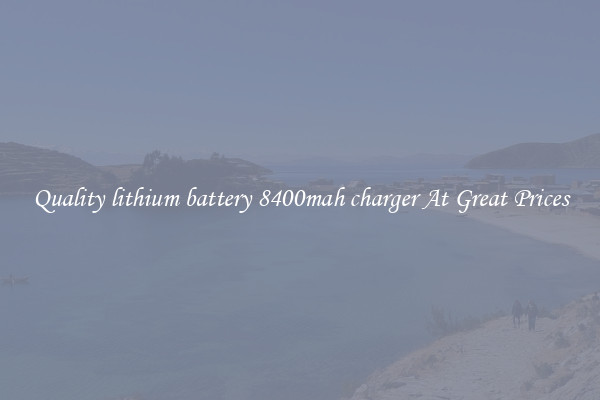 Quality lithium battery 8400mah charger At Great Prices