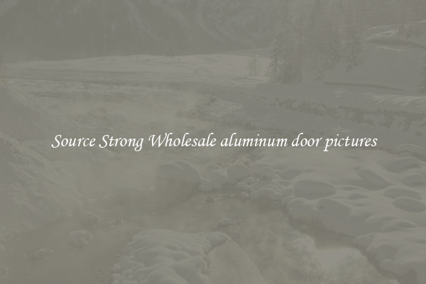 Source Strong Wholesale aluminum door pictures
