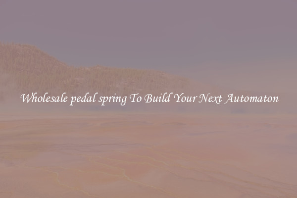 Wholesale pedal spring To Build Your Next Automaton
