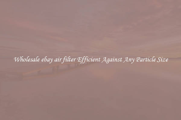 Wholesale ebay air filter Efficient Against Any Particle Size