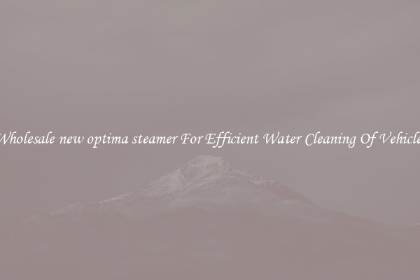Wholesale new optima steamer For Efficient Water Cleaning Of Vehicles
