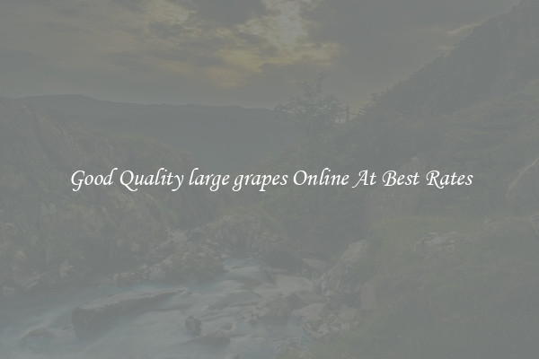 Good Quality large grapes Online At Best Rates