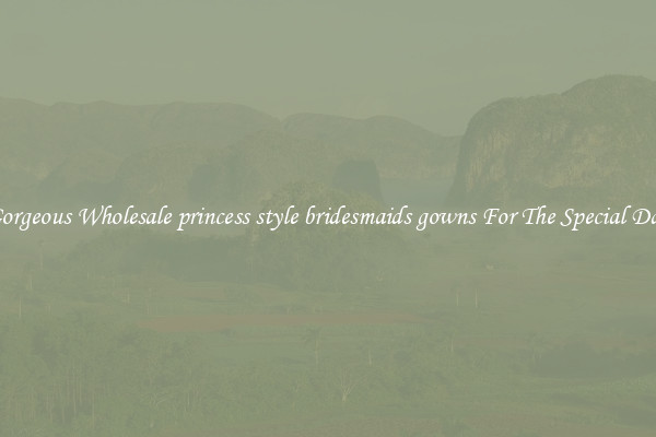 Gorgeous Wholesale princess style bridesmaids gowns For The Special Day