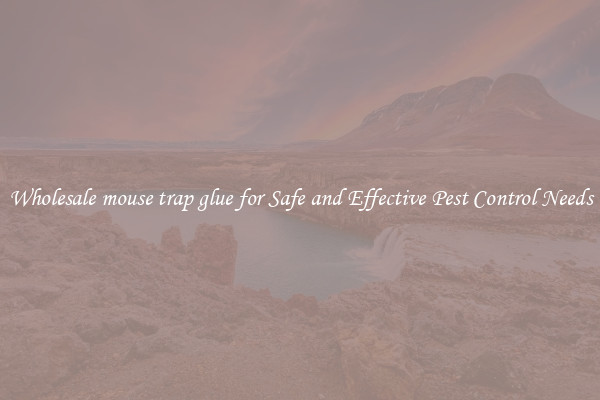 Wholesale mouse trap glue for Safe and Effective Pest Control Needs