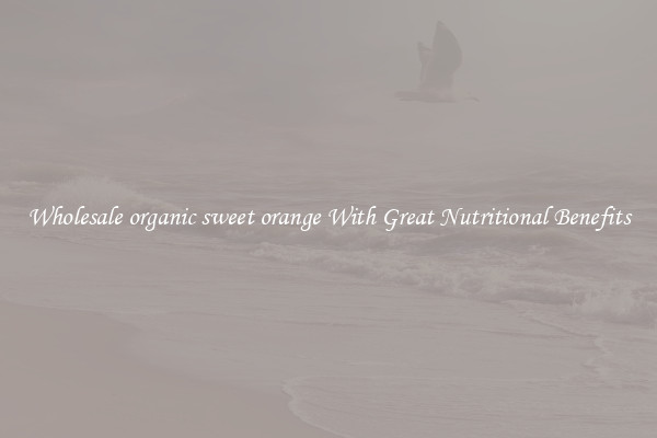Wholesale organic sweet orange With Great Nutritional Benefits