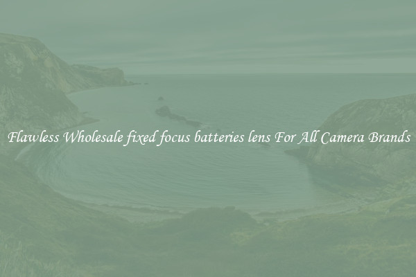 Flawless Wholesale fixed focus batteries lens For All Camera Brands