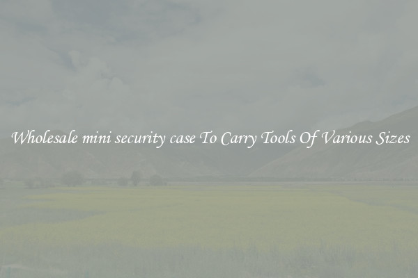 Wholesale mini security case To Carry Tools Of Various Sizes
