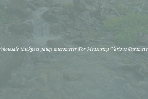 Wholesale thickness gauge micrometer For Measuring Various Parameters