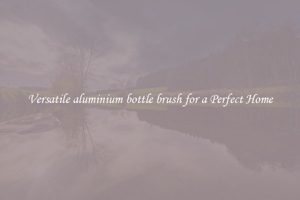 Versatile aluminium bottle brush for a Perfect Home