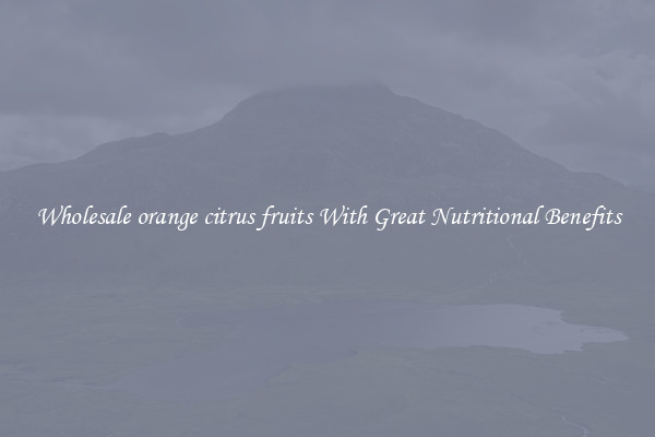 Wholesale orange citrus fruits With Great Nutritional Benefits