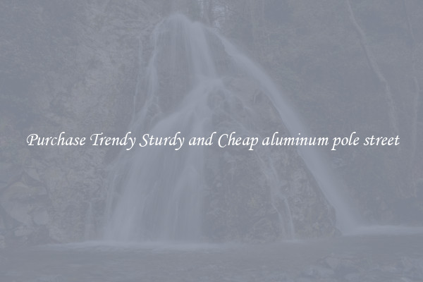 Purchase Trendy Sturdy and Cheap aluminum pole street