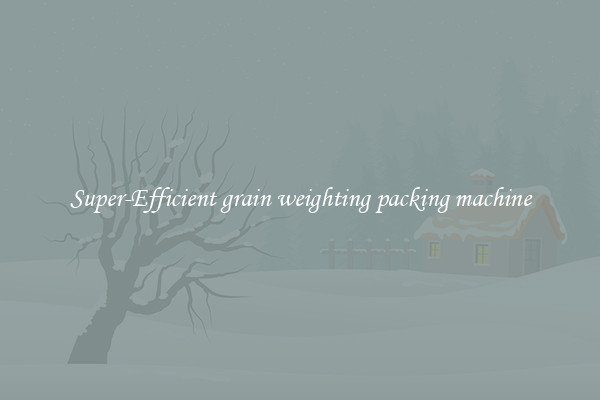 Super-Efficient grain weighting packing machine