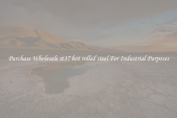 Purchase Wholesale st37 hot rolled steel For Industrial Purposes