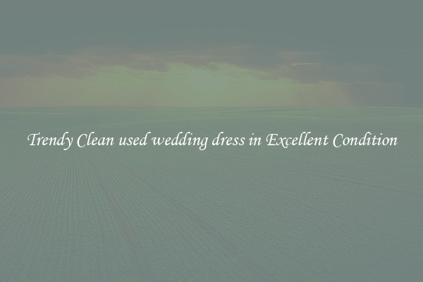 Trendy Clean used wedding dress in Excellent Condition