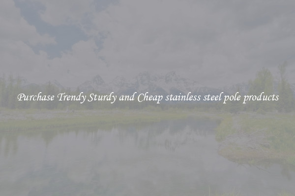 Purchase Trendy Sturdy and Cheap stainless steel pole products