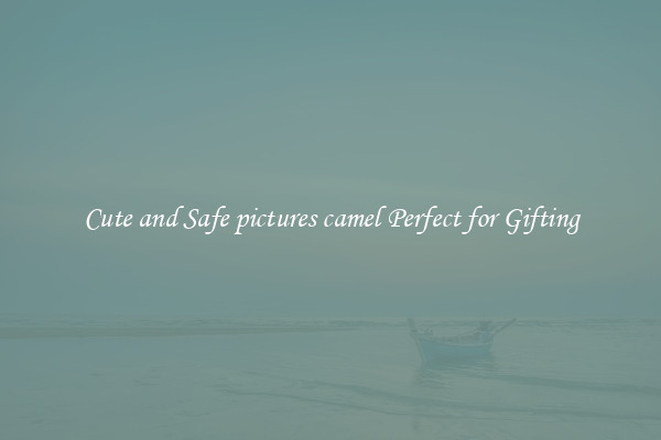 Cute and Safe pictures camel Perfect for Gifting