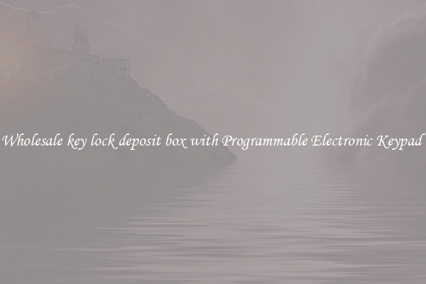 Wholesale key lock deposit box with Programmable Electronic Keypad 