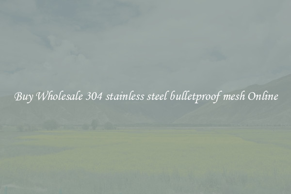 Buy Wholesale 304 stainless steel bulletproof mesh Online
