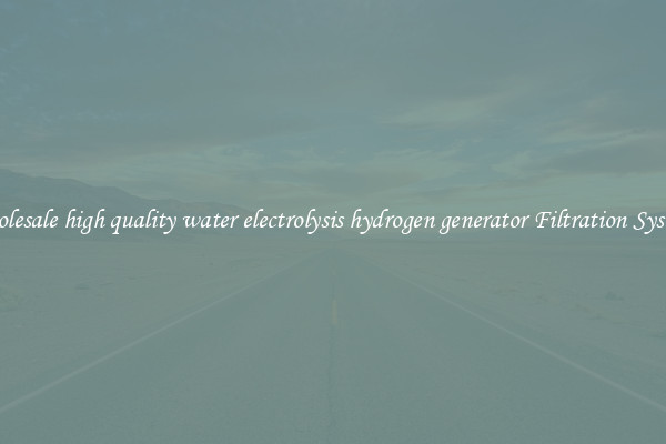 Wholesale high quality water electrolysis hydrogen generator Filtration Systems