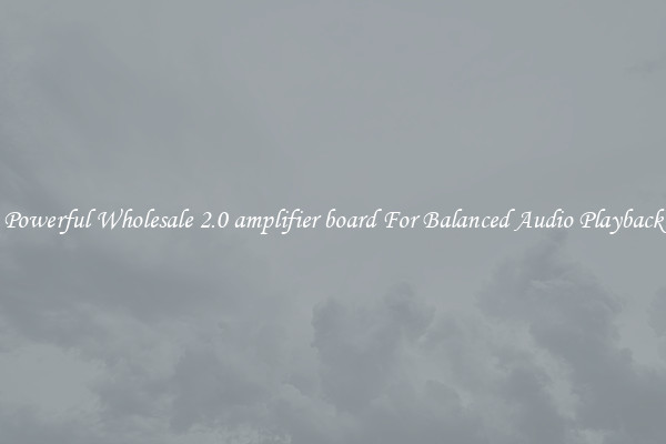 Powerful Wholesale 2.0 amplifier board For Balanced Audio Playback
