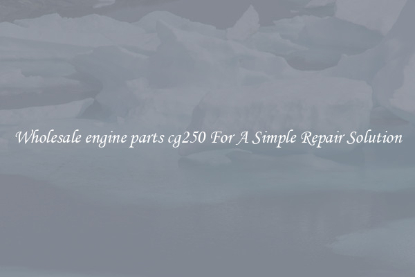 Wholesale engine parts cg250 For A Simple Repair Solution
