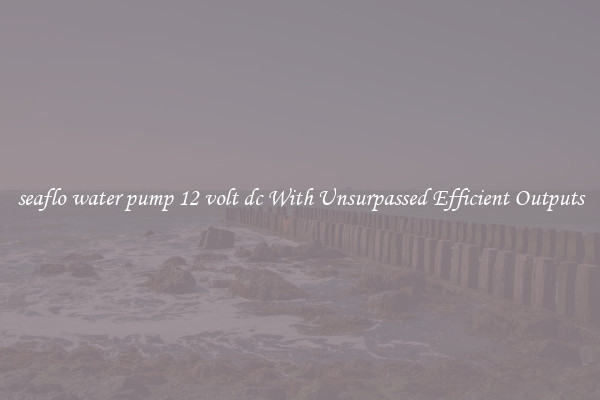 seaflo water pump 12 volt dc With Unsurpassed Efficient Outputs