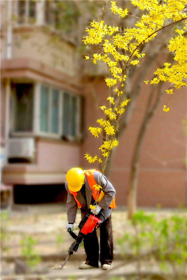 ��ҳ| ����(�й�����)�ٷ���վ