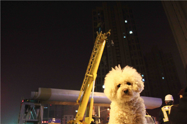 ��ҳ| ����(�й�����)�ٷ���վ